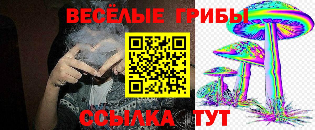 Галлюциногенные грибы мицелий Югорск