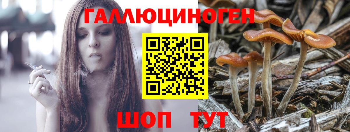 Югорск  Псилоцибиновые грибы GOLDEN TEACHER  Псилоцибиновые грибы GOLDEN TEACHER  даркнет сайт  Вход с VPN 